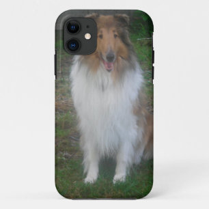 Sable Rough Collie iPhone 5 Case