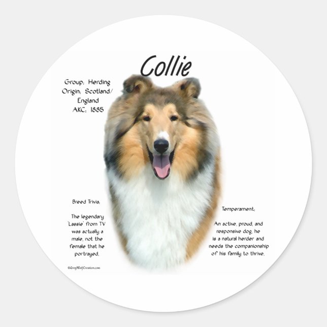 Sable Rough Collie Meet the Breed - Sticker (Front)