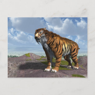 Sabre Tooth Tiger Postcard