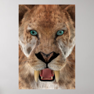 Sabre Toothed Ttiger or Smilodon Poster