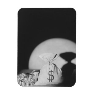 Sack of Money Magnet