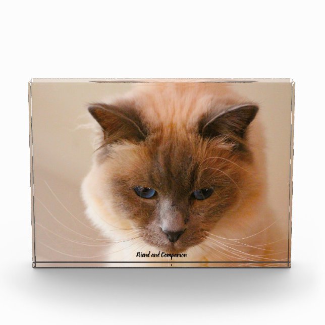Sacrad Cat Photo Block (Front)
