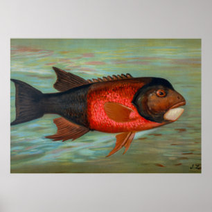 Sacramento Pike by John L Petrie Poster