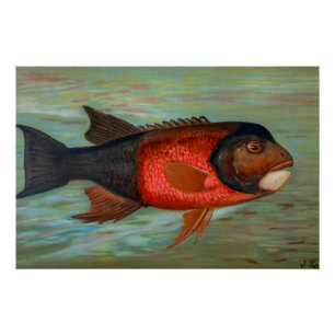 Sacramento Pike by John L Petrie Poster