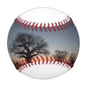 Sacred Baobabs Baseball