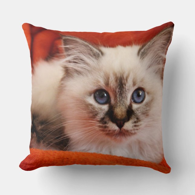 Sacred Birman Kitten Cushion (Front)