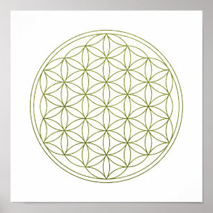Sacred Geometry Flower Of Life (V-Sprout) Poster