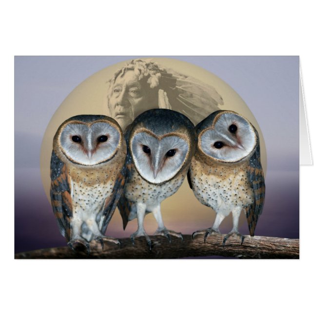 Sacred Owl North American Indian (Front Horizontal)
