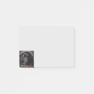 Sad Black Labrador Retriever Dog Pet Animal Post-it Notes