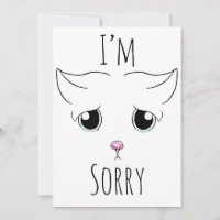 Sad Cat Face: I'm Sorry