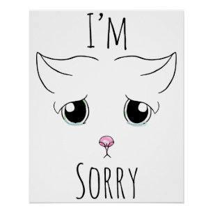 Sad Cat Face: I'm Sorry Poster