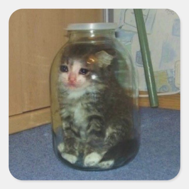sad cat in jar square sticker (Front)