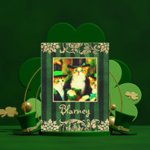 Sad Catnip Not Clover Saint Catrick's Day Cats