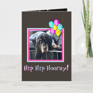 Sad & Cute Basset On Funny Birthday Card W/Balloon