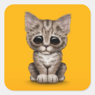 Sad Cute Brown Tabby Kitten Cat on Yellow Square Sticker