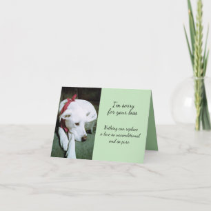 Sad Cute White Dog Sorry for Loss Sympathy Card