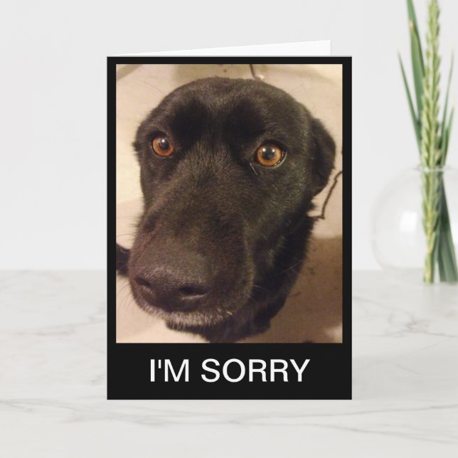 Sad Dod I'M Sorry Card (Front)