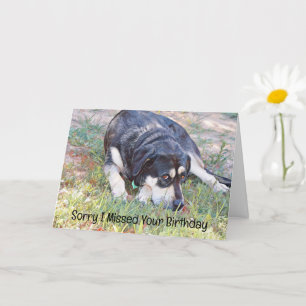 Sad Dog Missed Birthday Belated Birthday Card