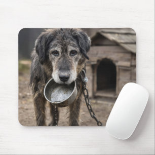 Sad Dog with Empty Water Bowl Mouse Pad