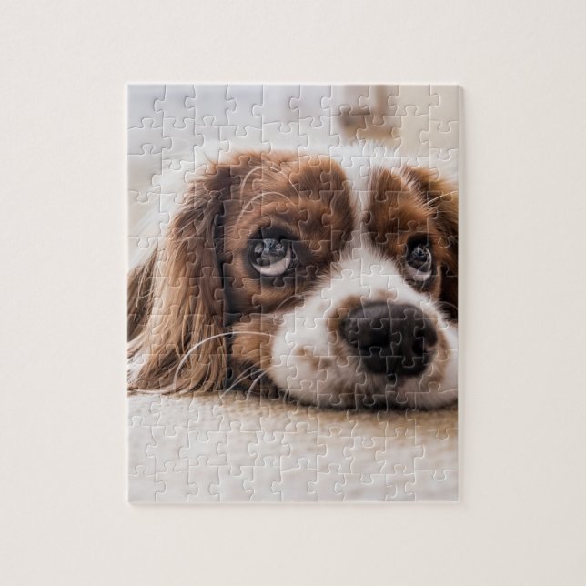 Sad-Eyed Cocker Spaniel Dog Jigsaw Puzzle (Vertical)