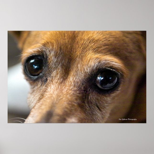 Sad Eyes Poster (Front)