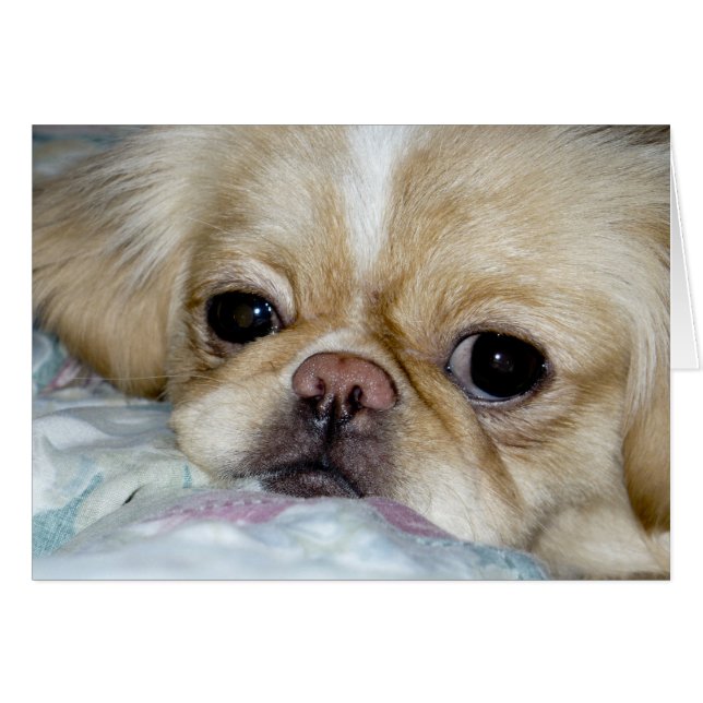 Sad Face (Front Horizontal)