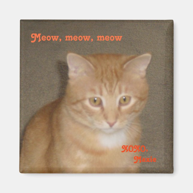 Sad face magnet (Front)