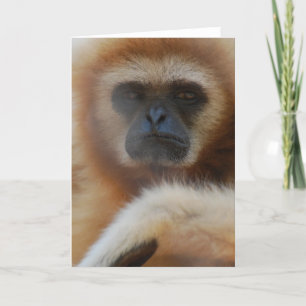 Sad Gibbon Greeting Card