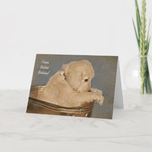 sad Golden Retriever belated birthday Card