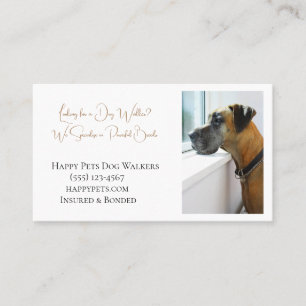 Sad Great Dane Looking Out Window for Dog Walker Business Card