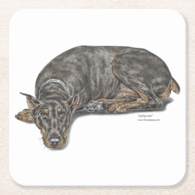 Sad Guilty Looking Doberman Square Paper Coaster (Front)