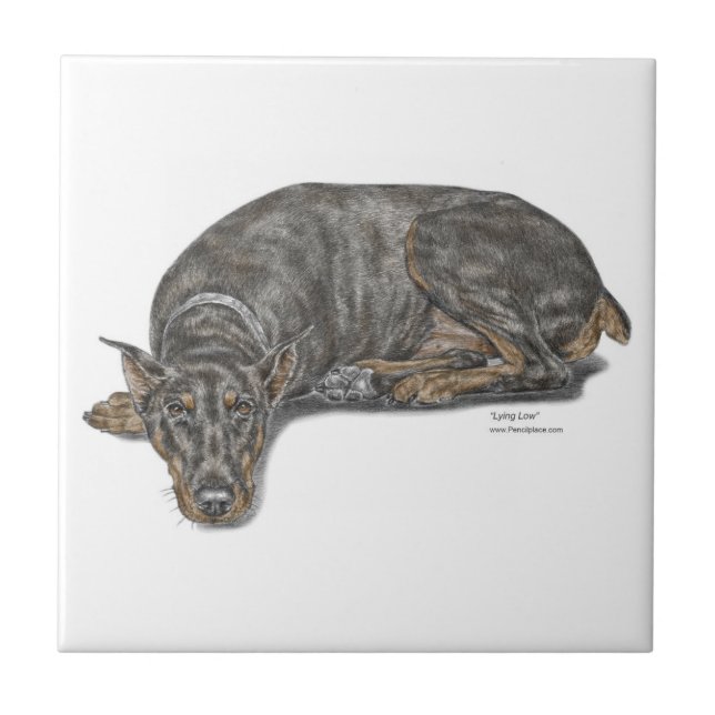 Sad Guilty Looking Doberman Tile (Front)