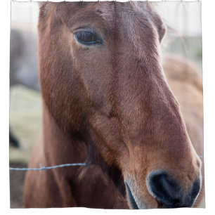 SAD HORSE SHOWER CURTAIN