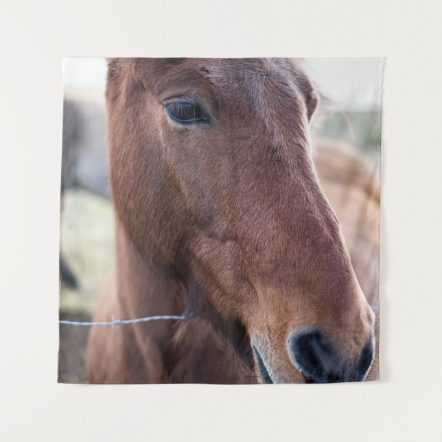 SAD HORSE TAPESTRY (Front)