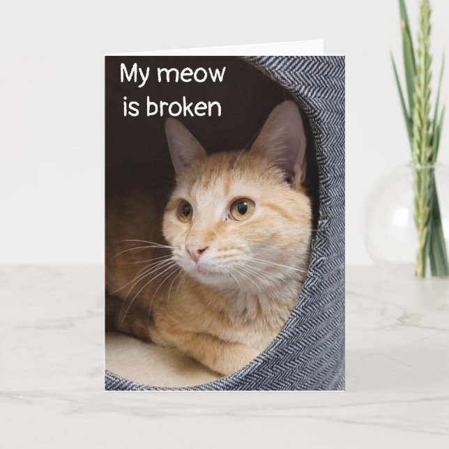 SAD KITTEN SAYS *HAPPY BIRTHDAY* BUT NOT IN PERSON CARD (Front)