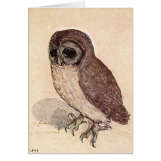 Sad Little Owl Beige Detailed