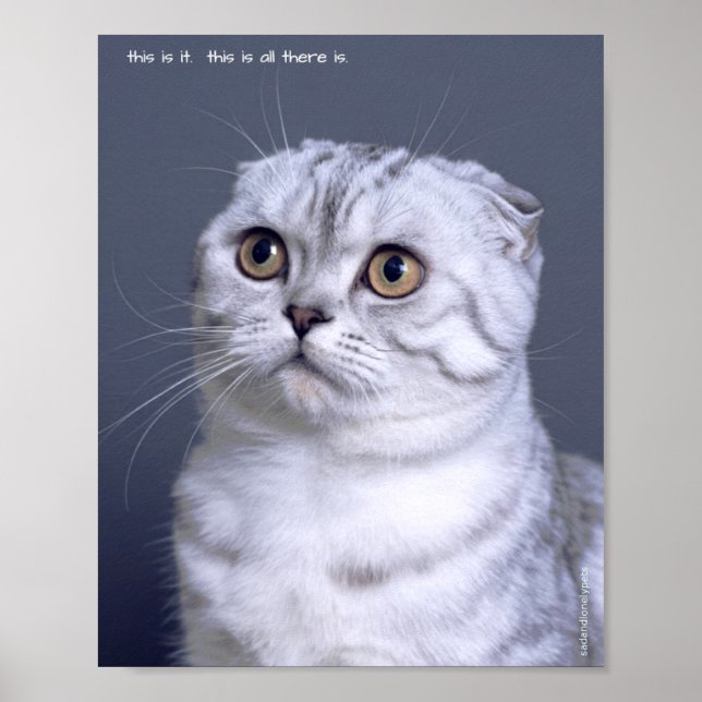 Sad & Lonely Pets Poster Print:  This is it (Front)