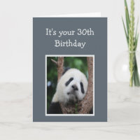 Sad Panda Bear 30th Thirty Happy Birthday Humour