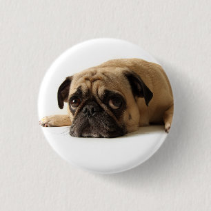 Sad Pug 3 Cm Round Badge