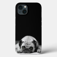 Sad Pug