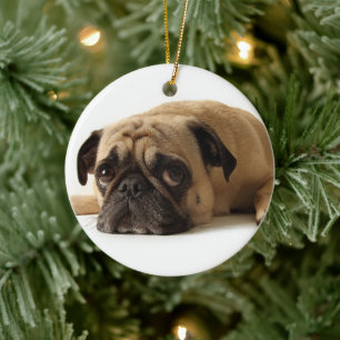 Sad Pug Ceramic Tree Decoration