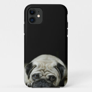 sad pug iphone 5 case
