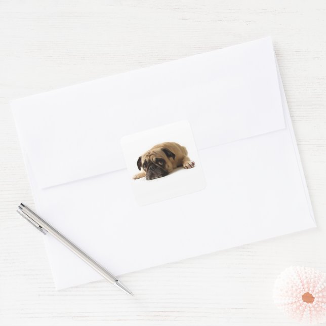 Sad Pug Square Sticker (Envelope)