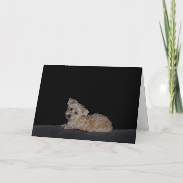 Sad Puppy Get Well Card (Front)