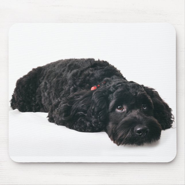 Sad puppy mouse pad (Front)