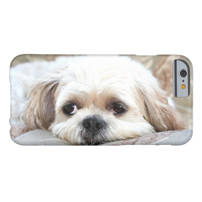 Sad Shih Tzu face Case-Mate iPhone Case (Back Horizontal)