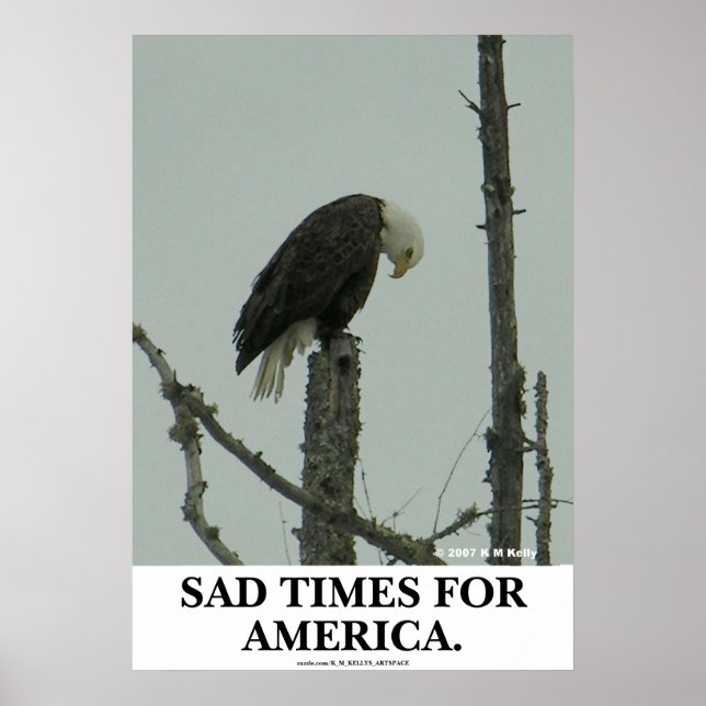 SAD TIMES FOR AMERICA. POSTER (Front)