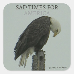 SAD TIMES FOR AMERICA -  SQUARE STICKER