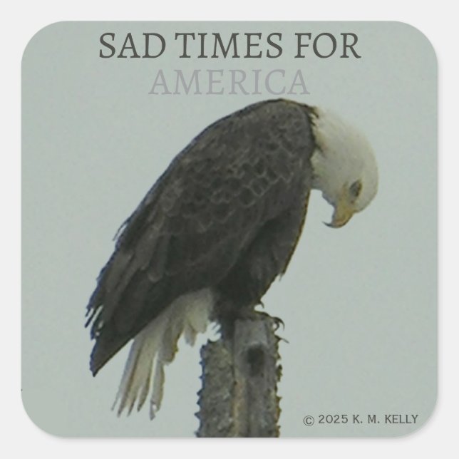 SAD TIMES FOR AMERICA -  SQUARE STICKER (Front)