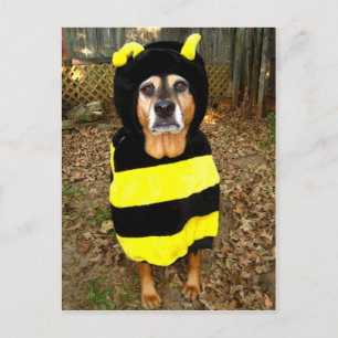 Saddest Bee Postcard